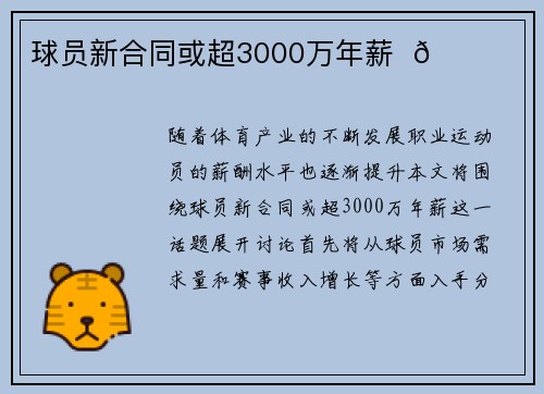 球员新合同或超3000万年薪  📝